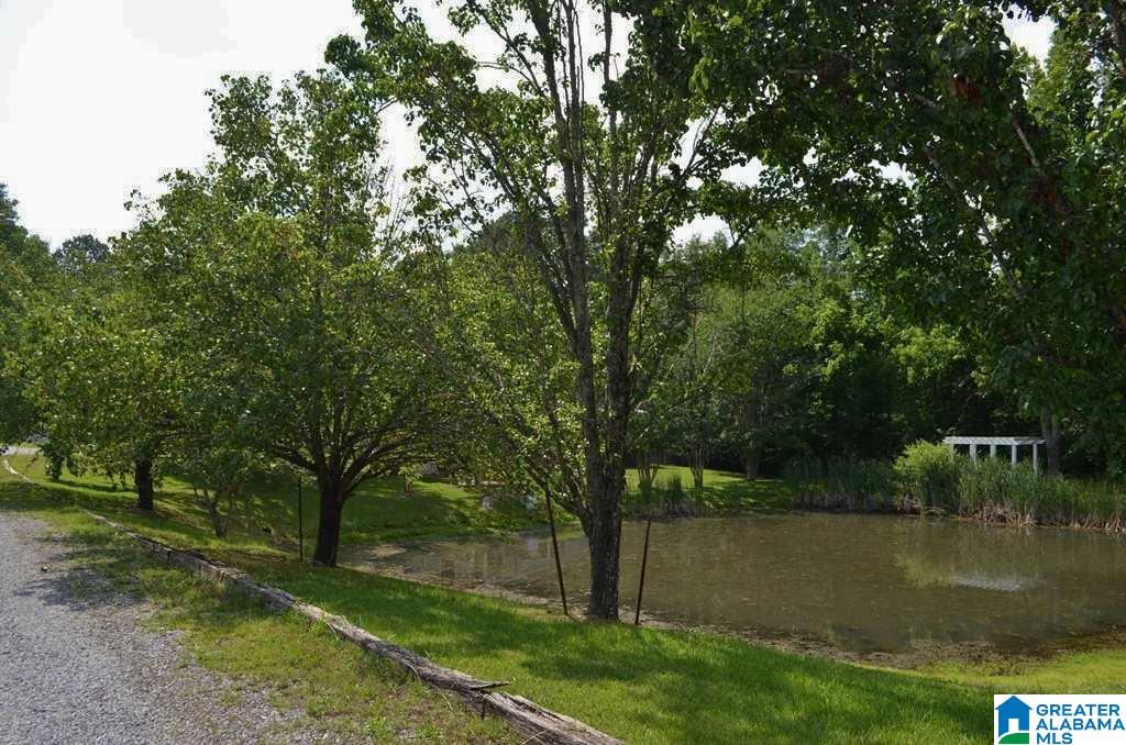246 Dragline Road Leeds, AL 35094 - Photo 46 of 49