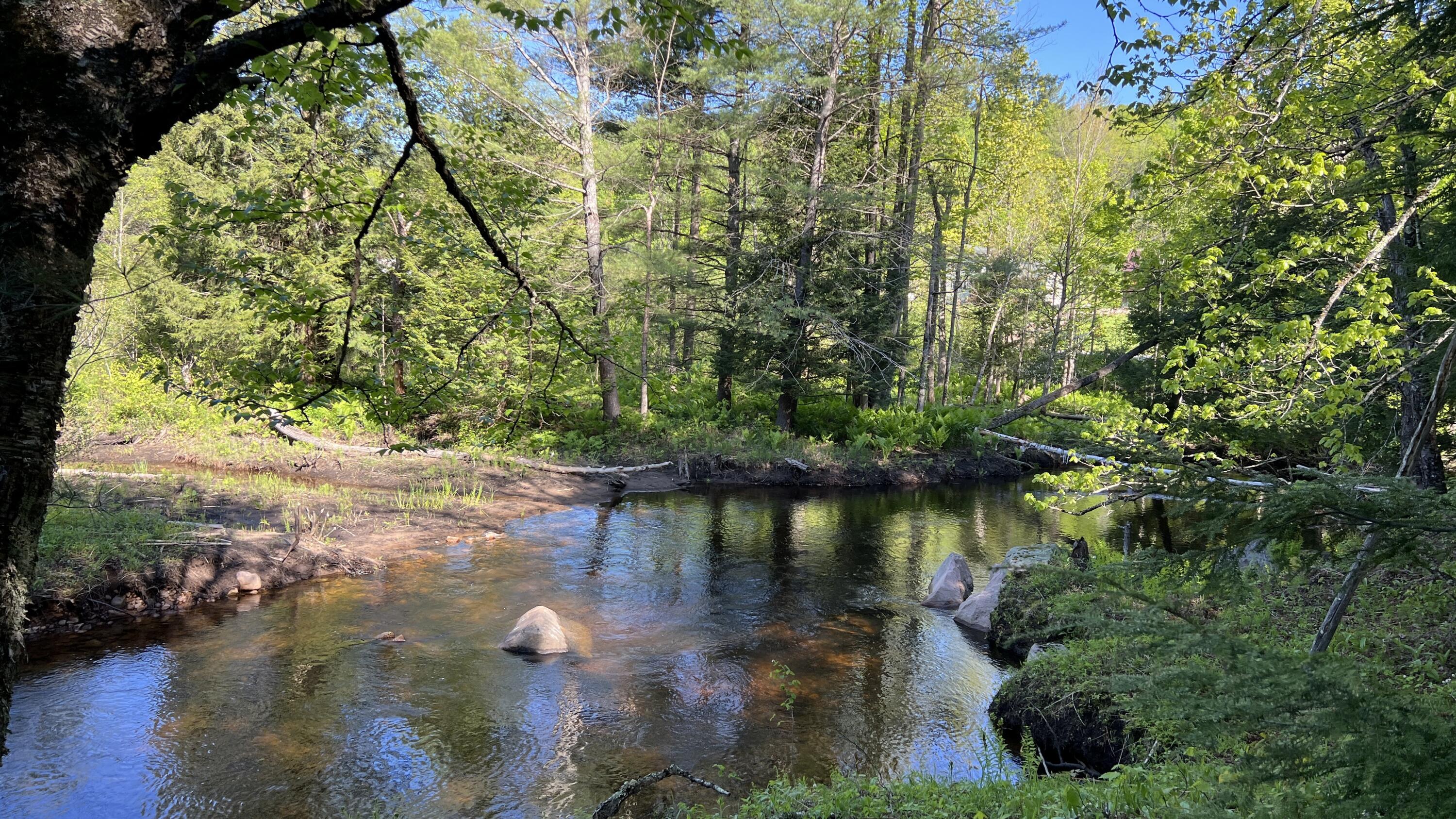 273 True Brook Road Saranac, NY 12981 - Photo 12 of 17 IMG_7902