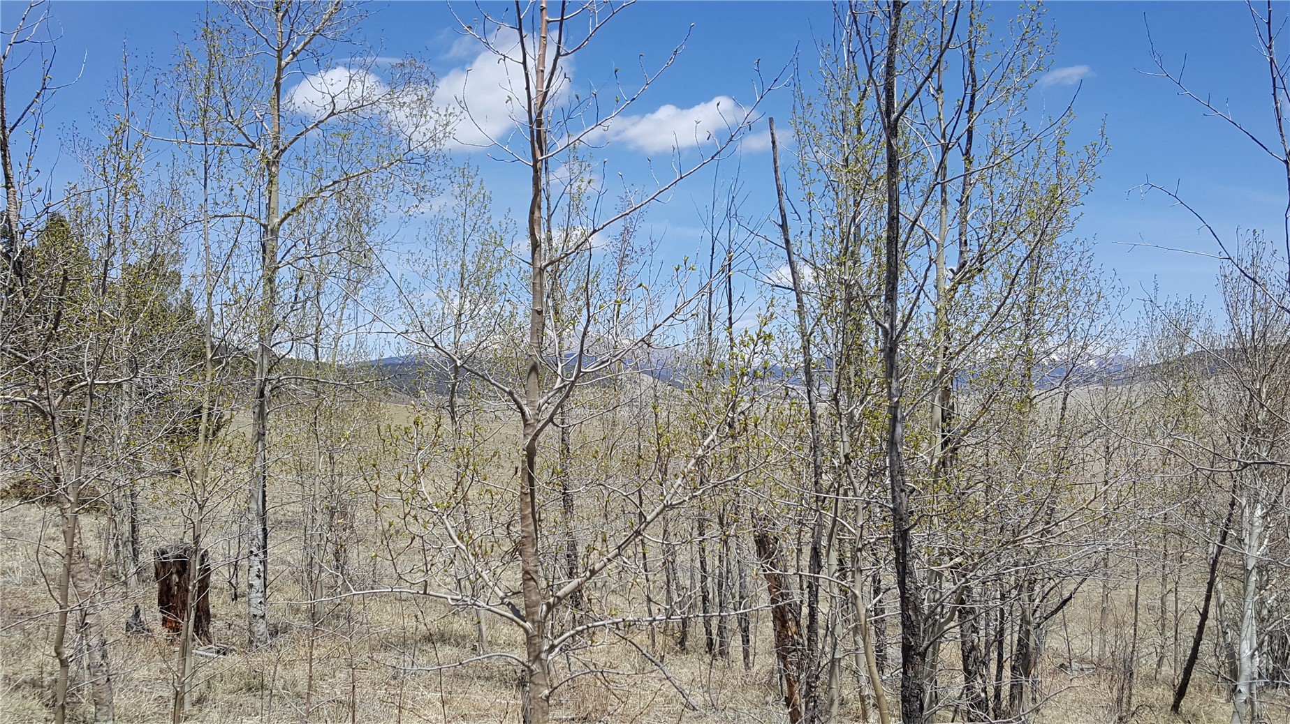 Lot 131 Redhill Road Fairplay, CO 80440 - Photo 28 of 34 Gallery Image 28