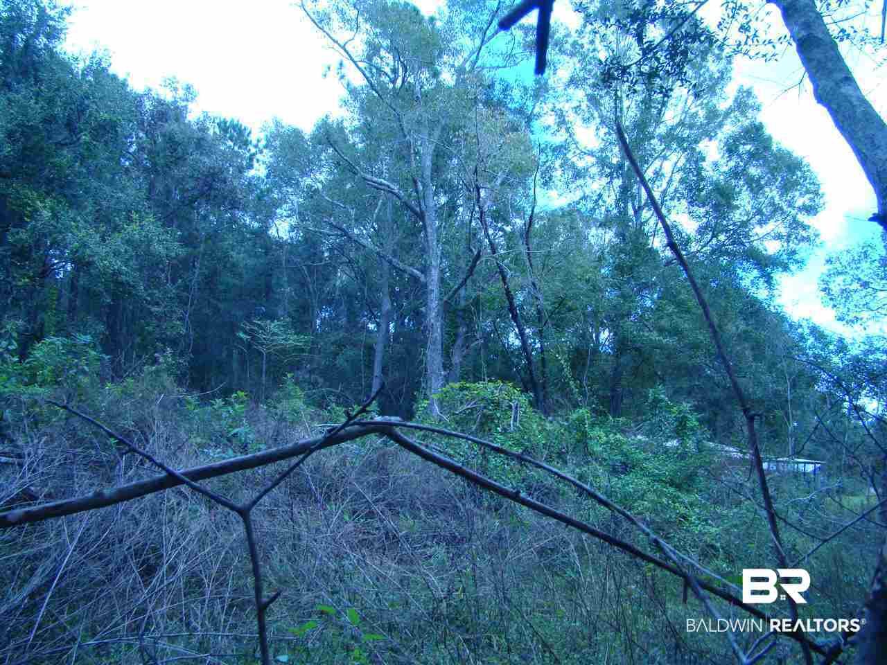 0 Lilly Wilson Lane Bay Minette, AL 36507 - Photo 6 of 9