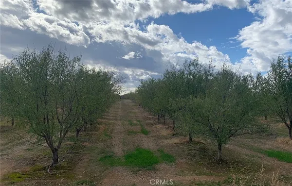 $1,195,000 | 22085 Finnell Avenue, Corning, CA 96021
