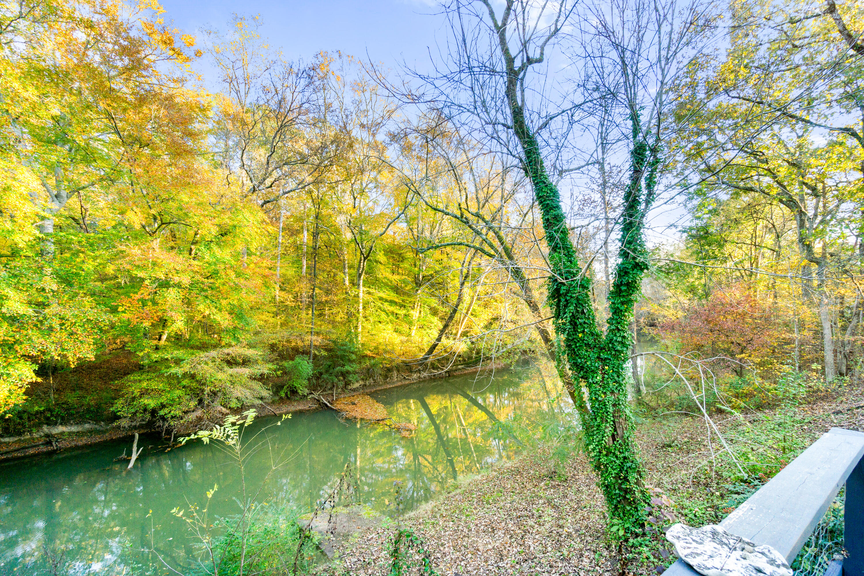 103 Cross Street Chickamauga, GA 30707 - Photo 8 of 43 103 Cross St-11