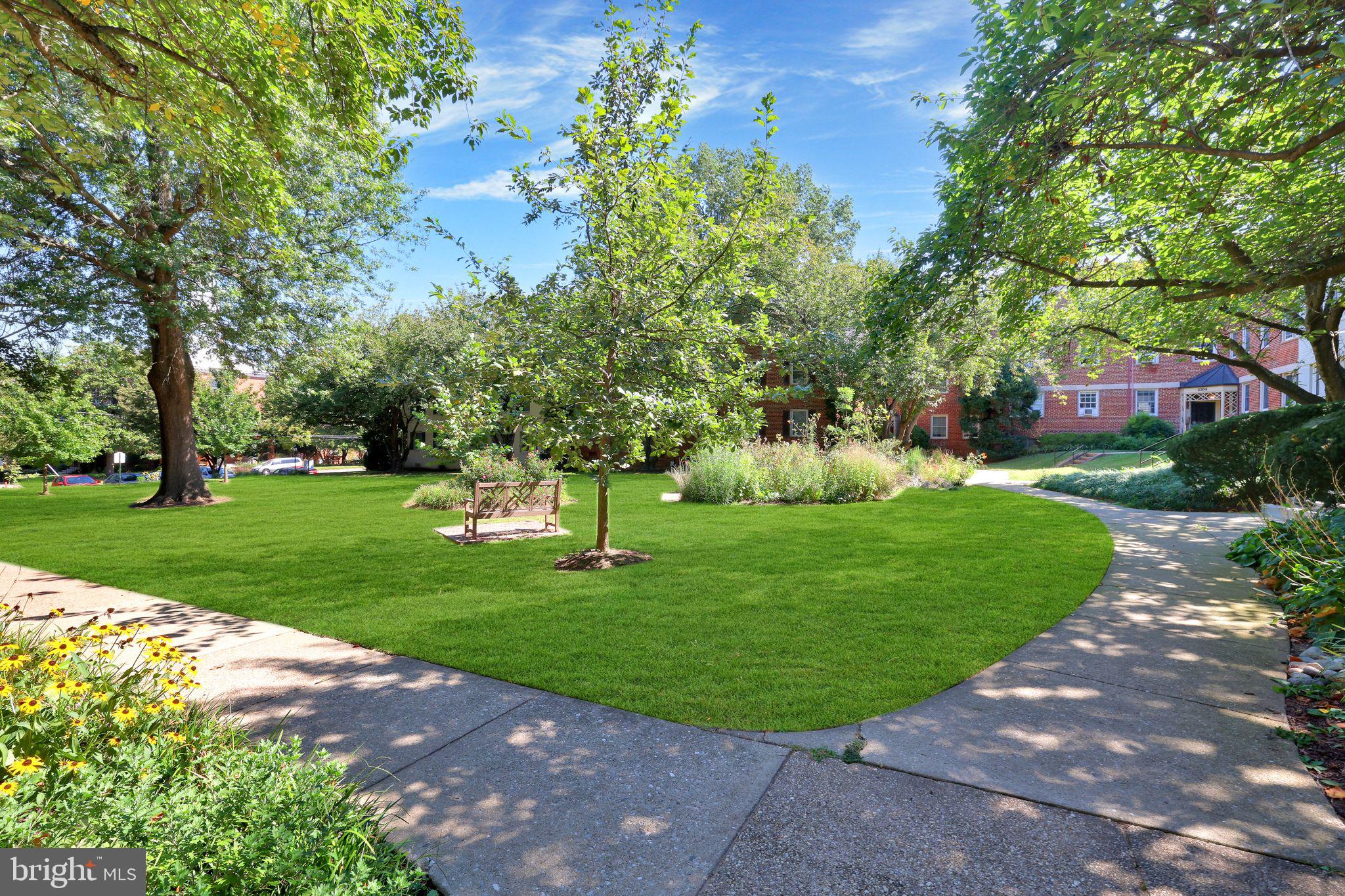 2312 Colston Drive, Unit 201 Silver Spring, MD 20910 - Photo 24 of 29 a view of a park with large trees