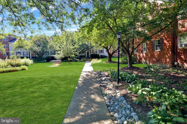 a view of a park with a tree