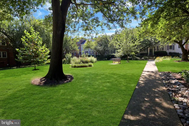 a front view of a house with a garden and plants