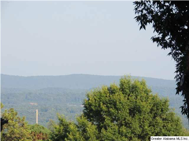698 Summit Point Birmingham, AL 35226 - Photo 26 of 26