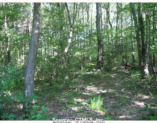 0 Old County Road Higganum, CT 06441 - Photo 1 of 1 a view of outdoor space and covered with trees