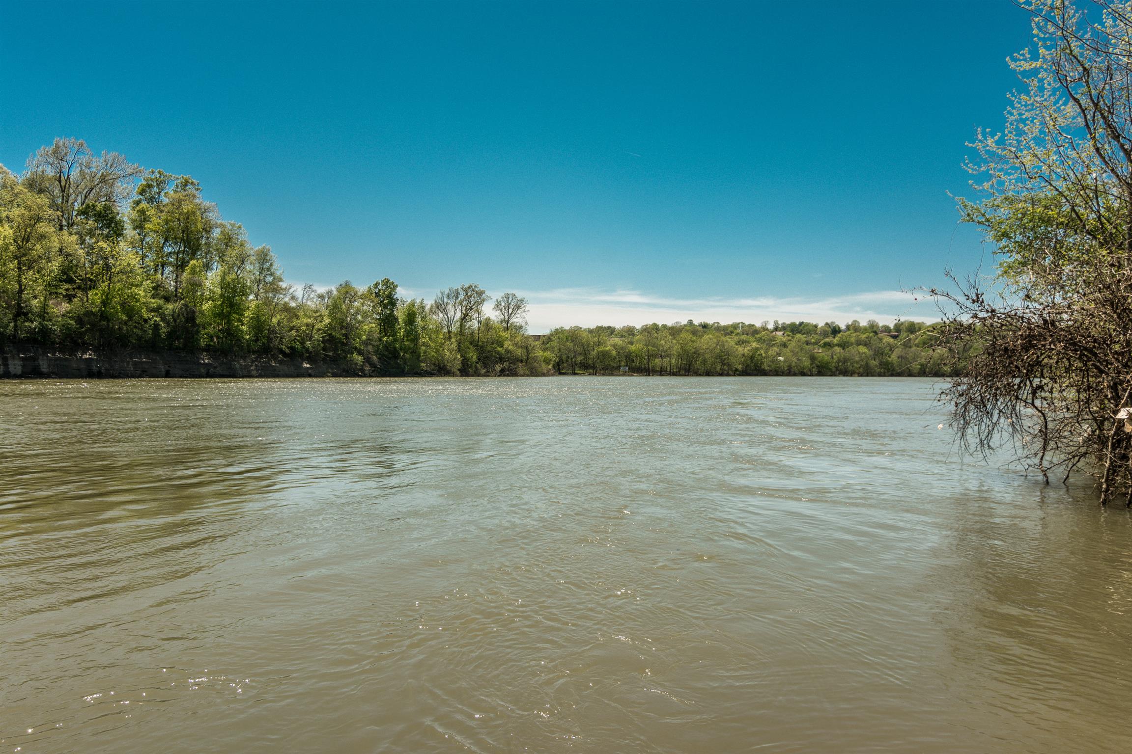 1824 Neelys Bend Road Madison, TN 37115 - Photo 6 of 23 Gallery Image 6