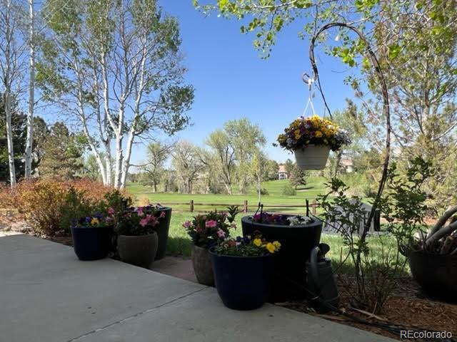 11664 Decatur Drive Westminster, CO 80234 - Photo 20 of 22 Gallery Image 20