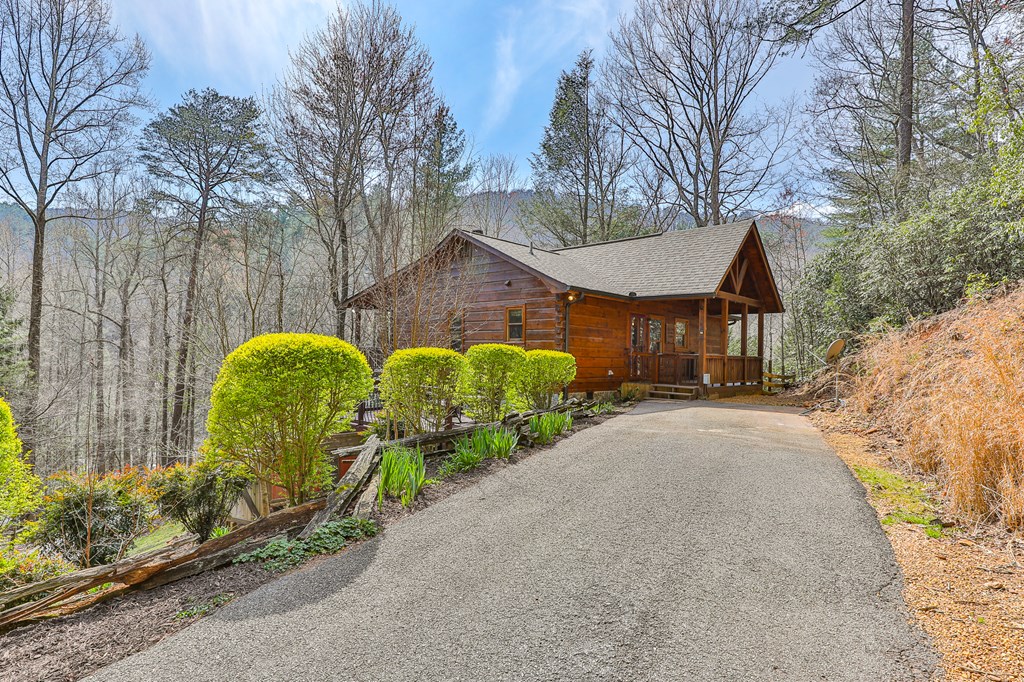 655 Little Rock Creek Road Cherry Log, GA 30522 - Photo 8 of 38 Gallery Image 8