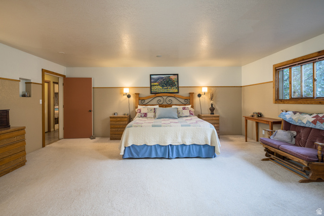 1035 Montezuma Creek Road Monticello, UT 84535 - Photo 17 of 27 Spacious room featuring neutral carpet flooring, a natural wood-frame window, and a built-in wall niche