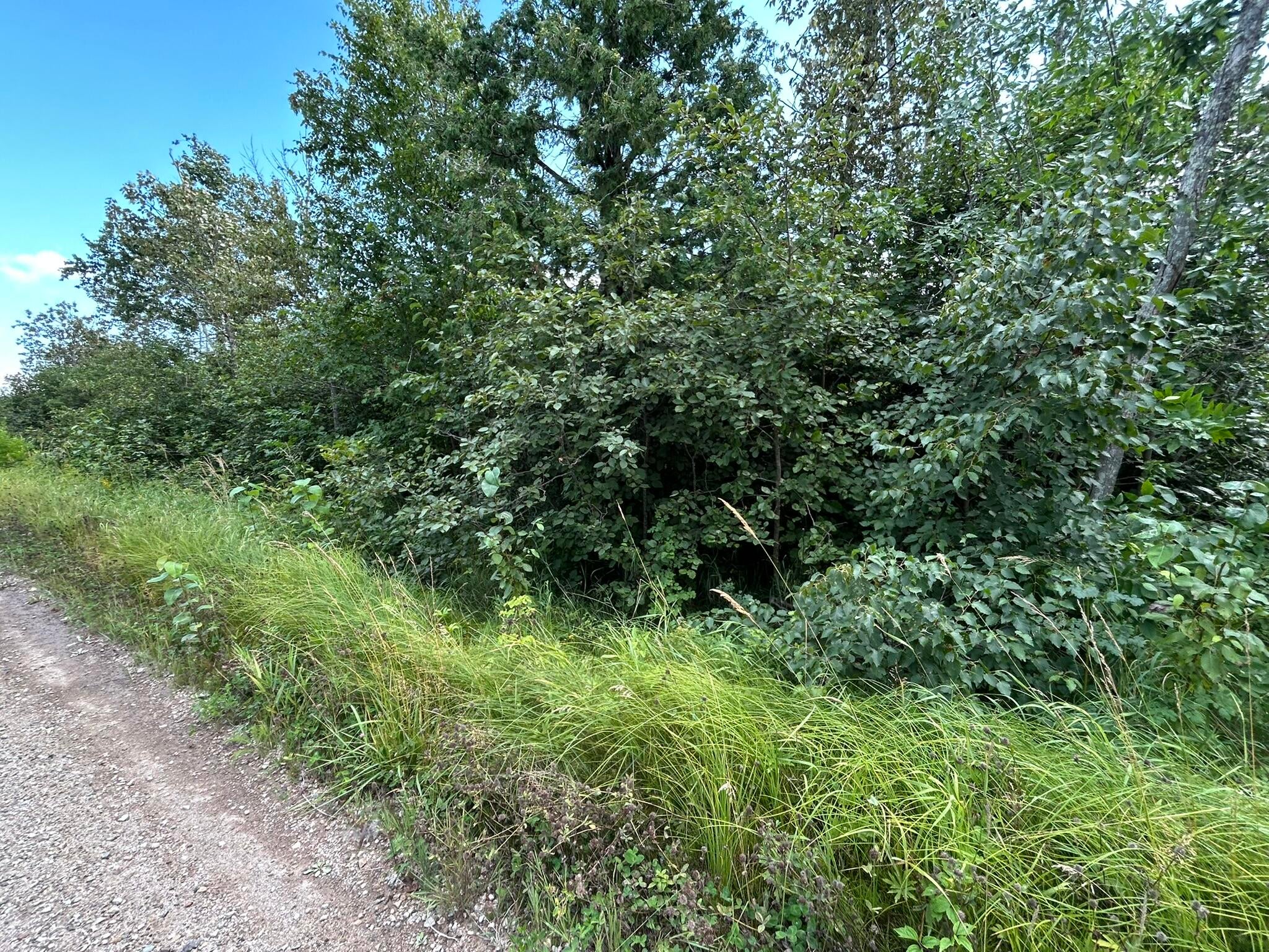 Epoufette Bay Road Naubinway, MI 49762 - Photo 11 of 26 Gallery Image 11