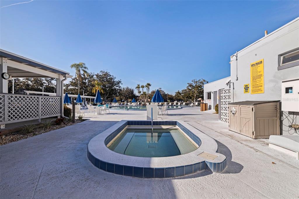 8221 112th Street North, Unit 203 Seminole, FL 33772 - Photo 30 of 31 a swimming pool with outdoor seating and yard