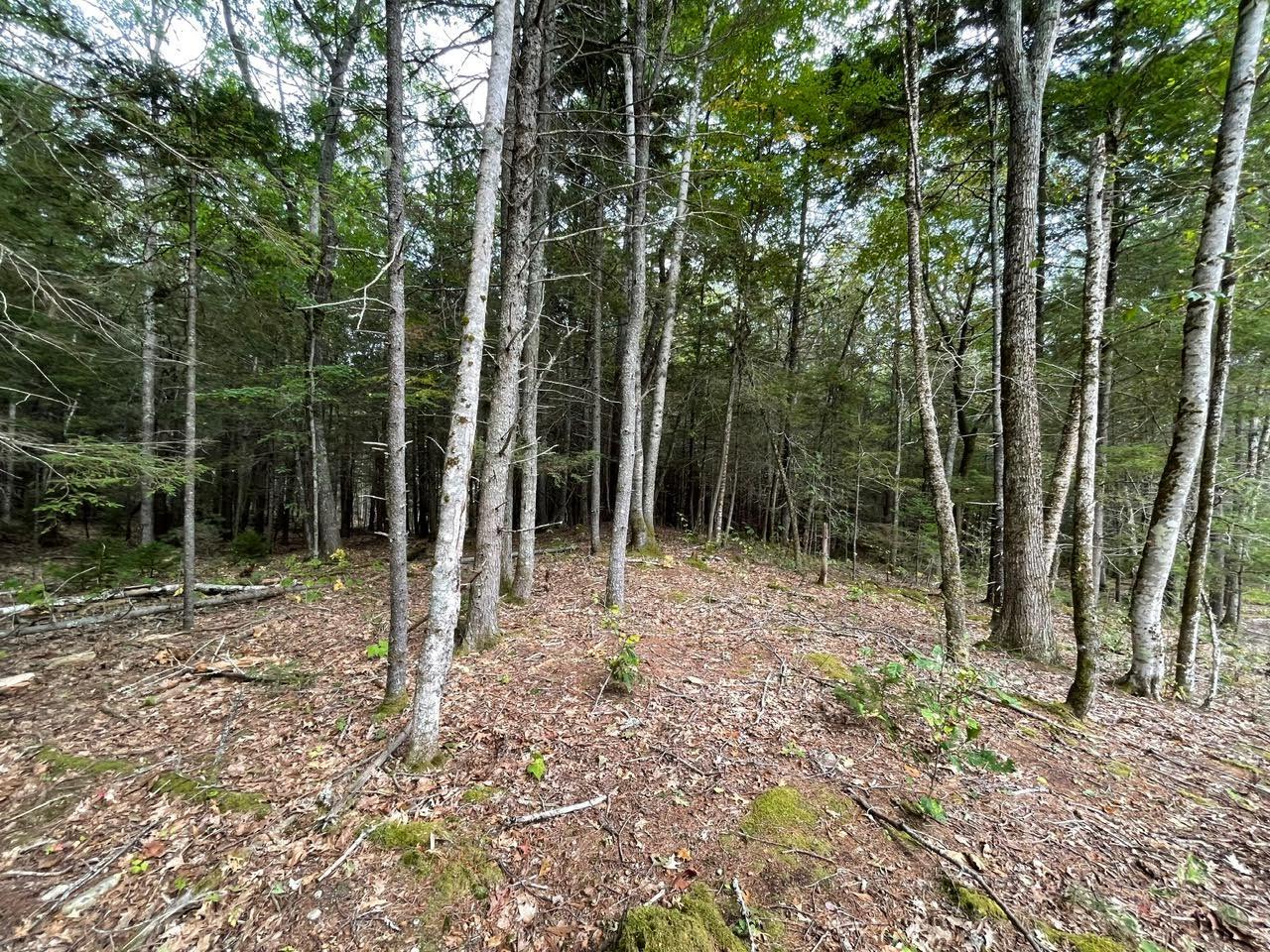 Lot G Blue Rdg Acrs Acres, Unit ACRES Bristol, ME 04539 - Photo 5 of 13 mail5