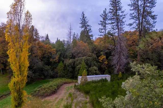 a view of a park with large trees