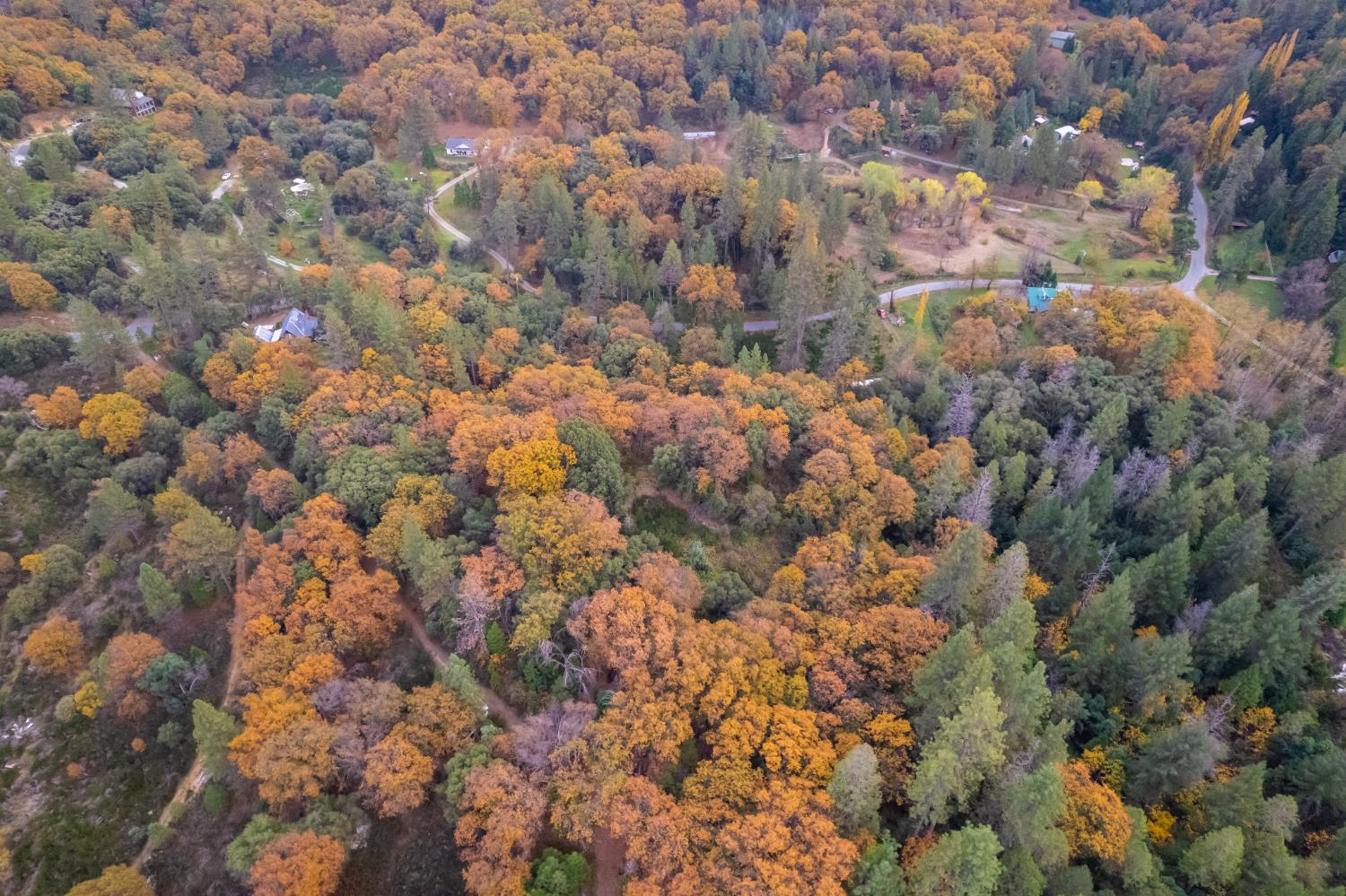 27596 Sweetland Road North San Juan, CA 95960 - Photo 5 of 8