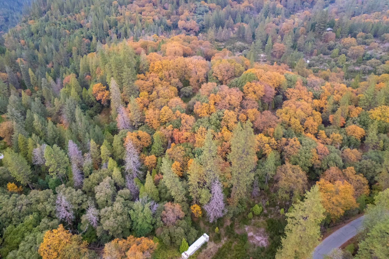 27596 Sweetland Road North San Juan, CA 95960 - Photo 6 of 8 a view of a yard