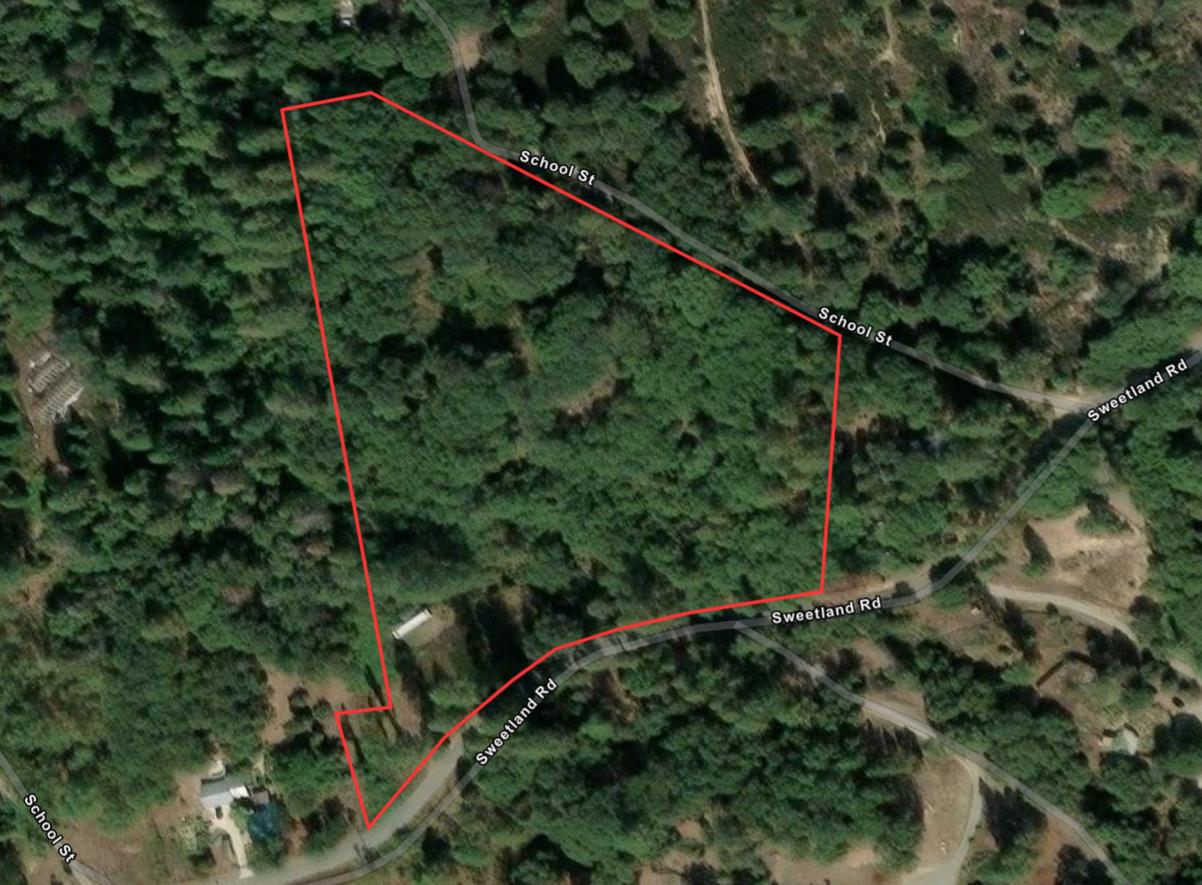 27596 Sweetland Road North San Juan, CA 95960 - Photo 8 of 8 a view of a forest from a forest