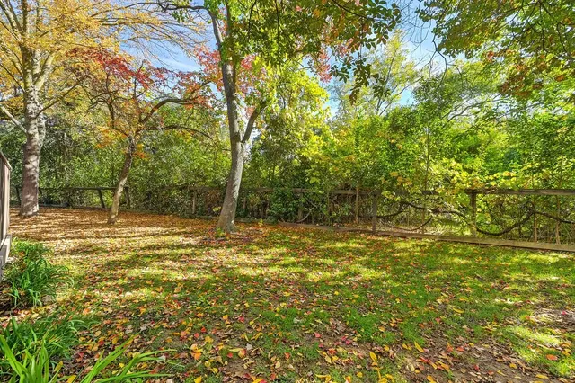 a view of a yard with lots of trees