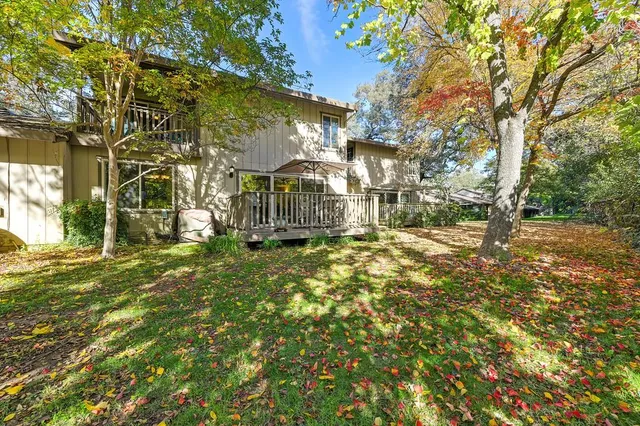 a view of a yard with plants and large trees