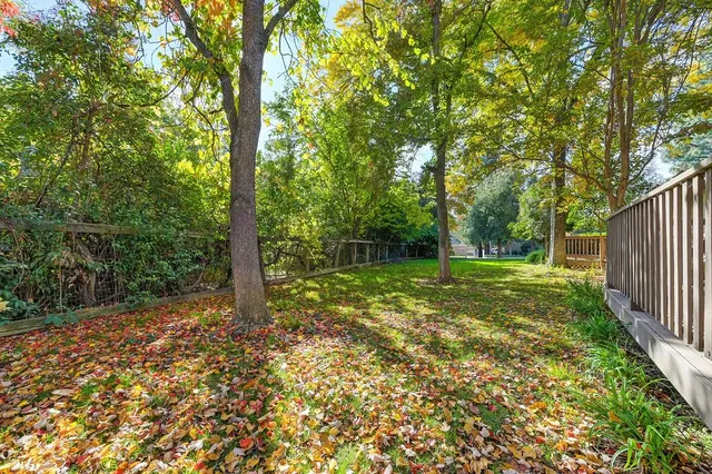 a house view with a backyard space