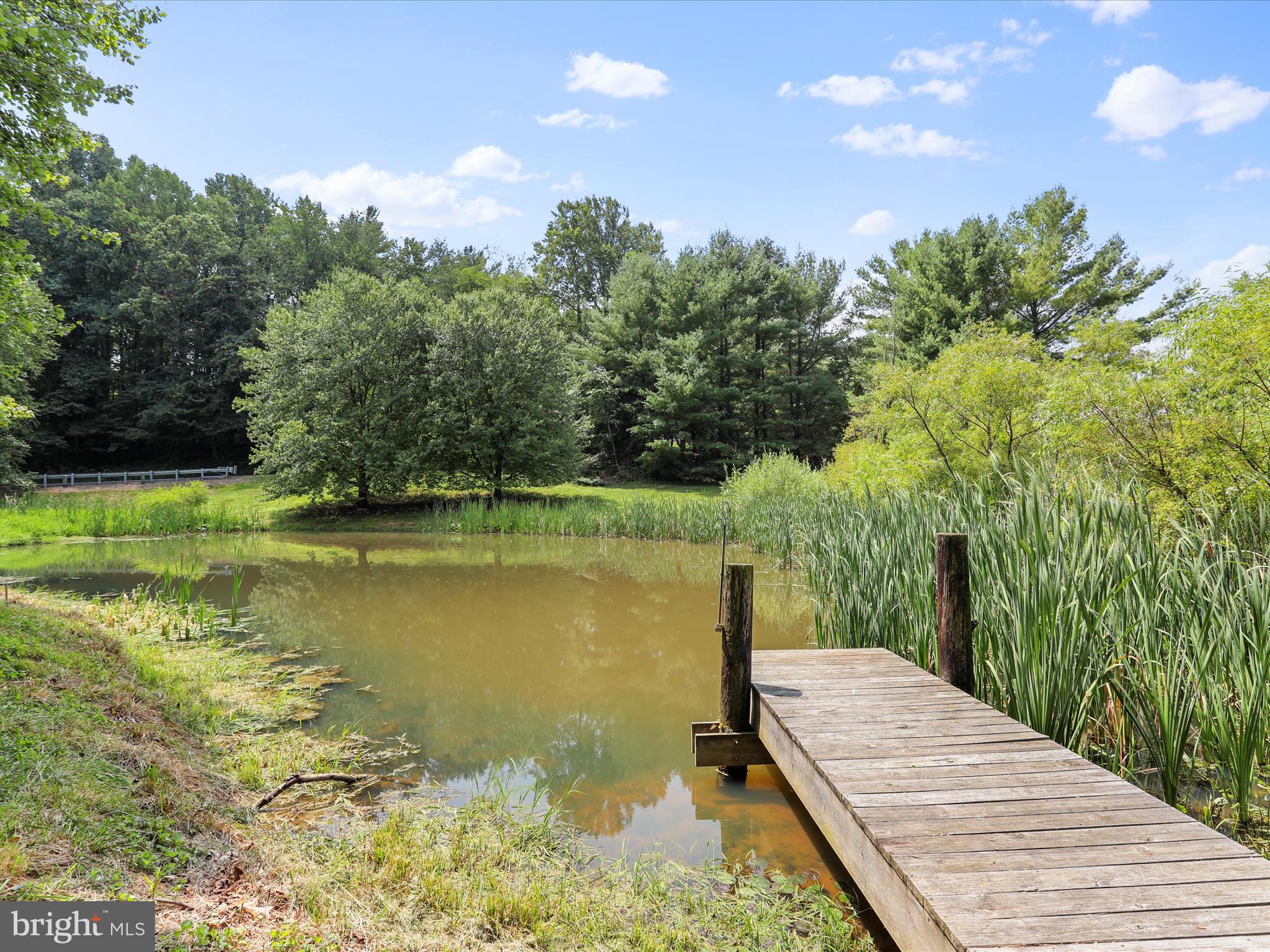13910 Harrisville Road Mount Airy, MD 21771 - Photo 66 of 68