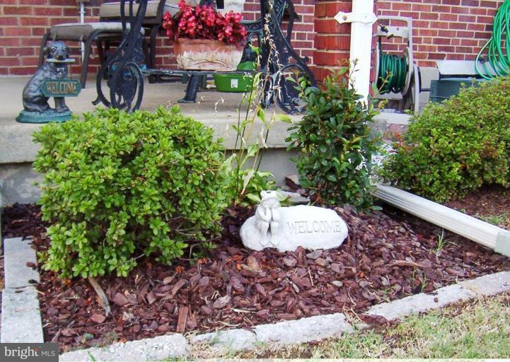 7240 Stratton Way Baltimore, MD 21224 - Photo 22 of 23 Garden