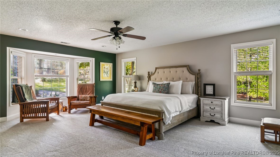 1336 McCaskill Road Carthage, NC 28327 - Photo 20 of 48