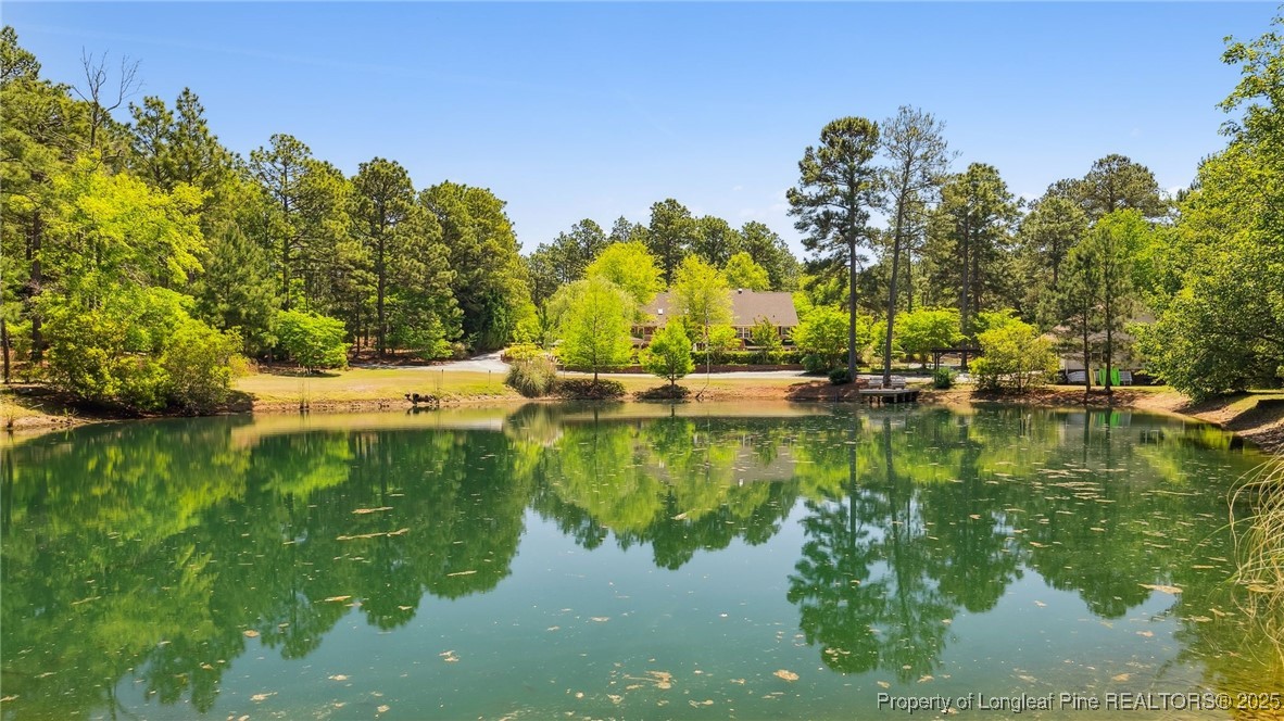 1336 McCaskill Road Carthage, NC 28327 - Photo 46 of 48