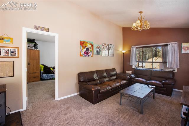 117 Wayward Wind Road Divide, CO 80814 - Photo 21 of 38 Gallery Image 21