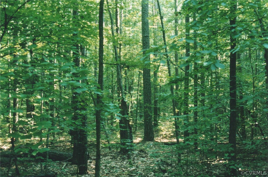 0 Horseshoe Ford Road Ashland, VA 23005 - Photo 11 of 11 Gallery Image 11
