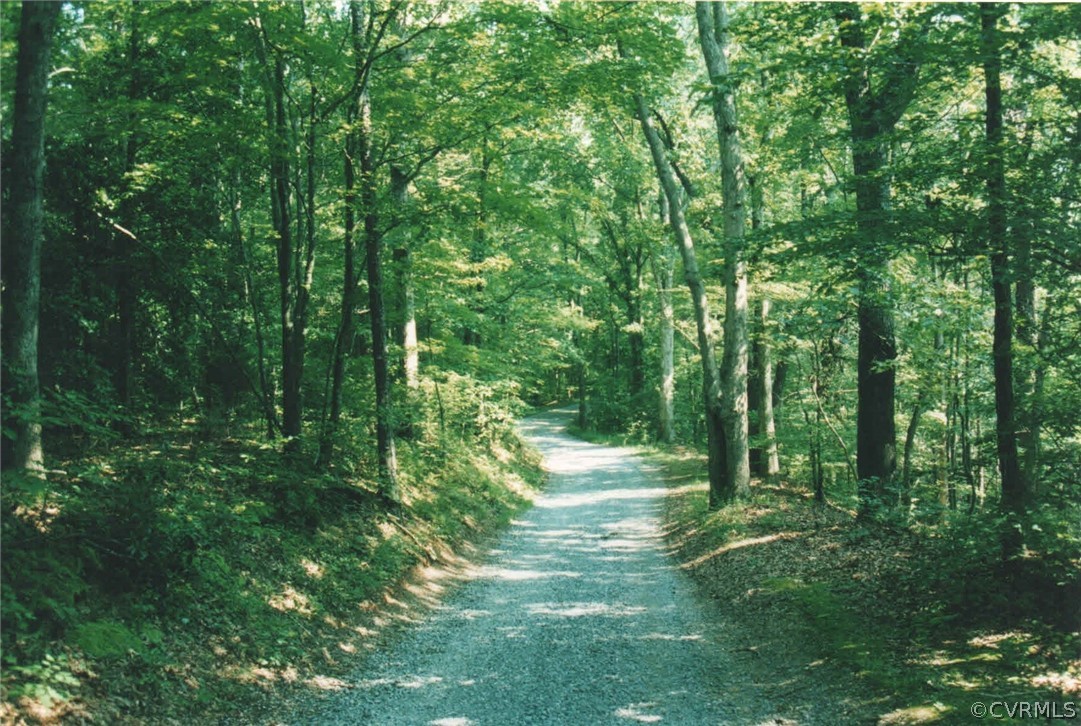0 Horseshoe Ford Road Ashland, VA 23005 - Photo 6 of 11 Gallery Image 6