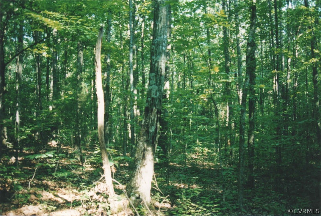 0 Horseshoe Ford Road Ashland, VA 23005 - Photo 10 of 11 Gallery Image 10
