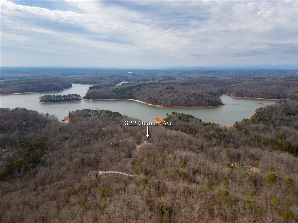 322 Oconee Avenue Westminster, SC 29693 - Photo 37 of 42 Vast natural beauty surrounds this home, offering unparalleled tranquility