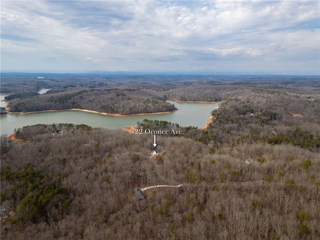 322 Oconee Avenue Westminster, SC 29693 - Photo 40 of 42 Lake Hartwell winter views
