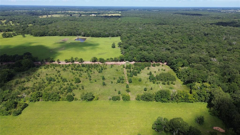 Lot 4 County Road 2470 Alba, TX 75410 - Photo 6 of 7 a view of a lake with a houses