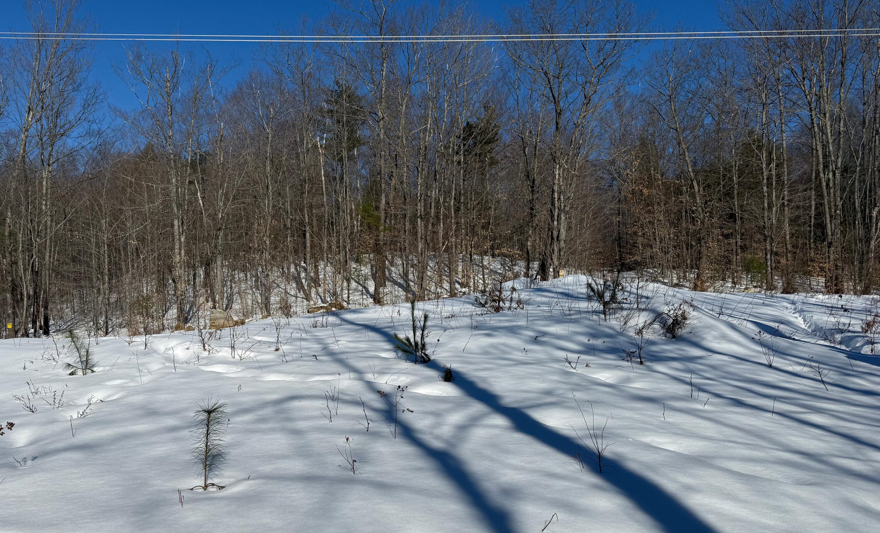 299 Intervale Road Jay, ME 04239 - Photo 2 of 7 3DE67EF1-B635-4C30-93B8-773011D3394D (1)