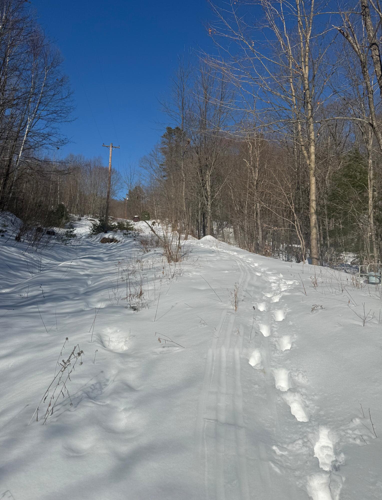 299 Intervale Road Jay, ME 04239 - Photo 5 of 7 9EC999DF-8568-4DB5-A48F-2E84F010A8CF