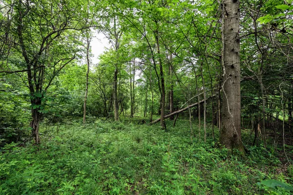 $299,000 | 27015 50th Street, Bangor, MI 49013