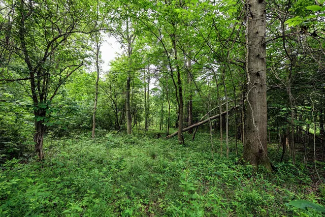 $299,000 | 27015 50th Street, Bangor, MI 49013