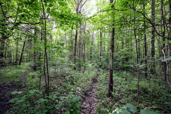 $299,000 | 27015 50th Street, Bangor, MI 49013