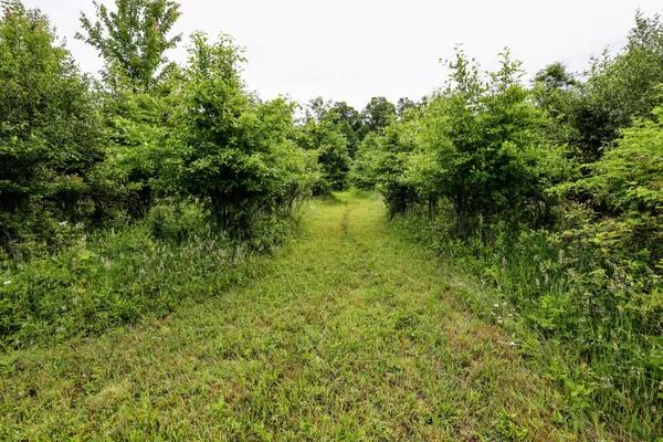 $299,000 | 27015 50th Street, Bangor, MI 49013