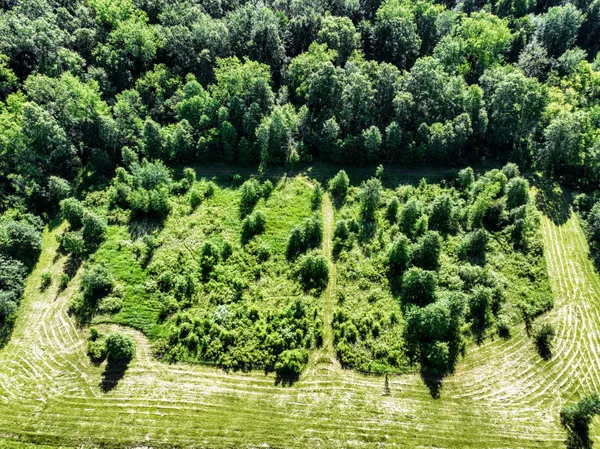 $299,000 | 27015 50th Street, Bangor, MI 49013