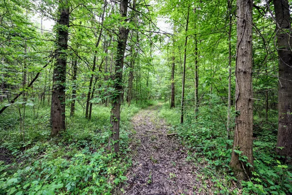 $299,000 | 27015 50th Street, Bangor, MI 49013