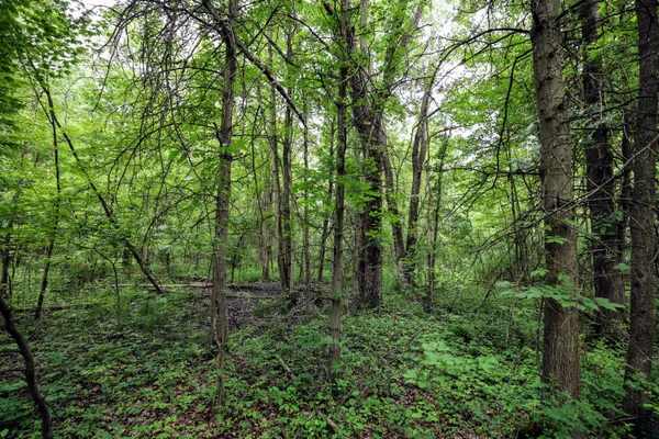 $299,000 | 27015 50th Street, Bangor, MI 49013