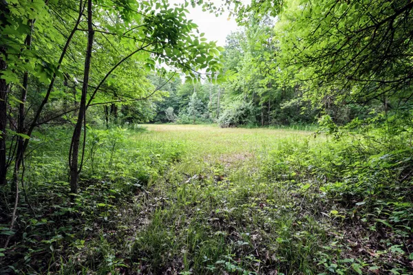 $299,000 | 27015 50th Street, Bangor, MI 49013