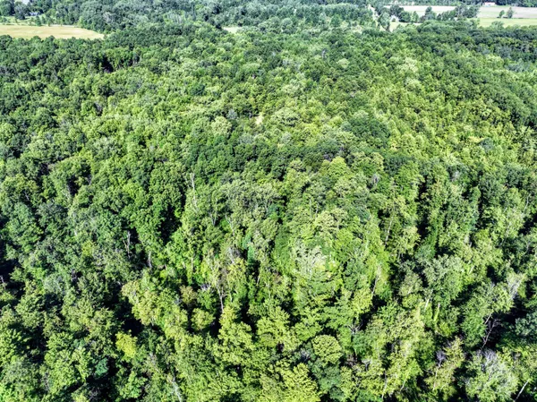 $299,000 | 27015 50th Street, Bangor, MI 49013