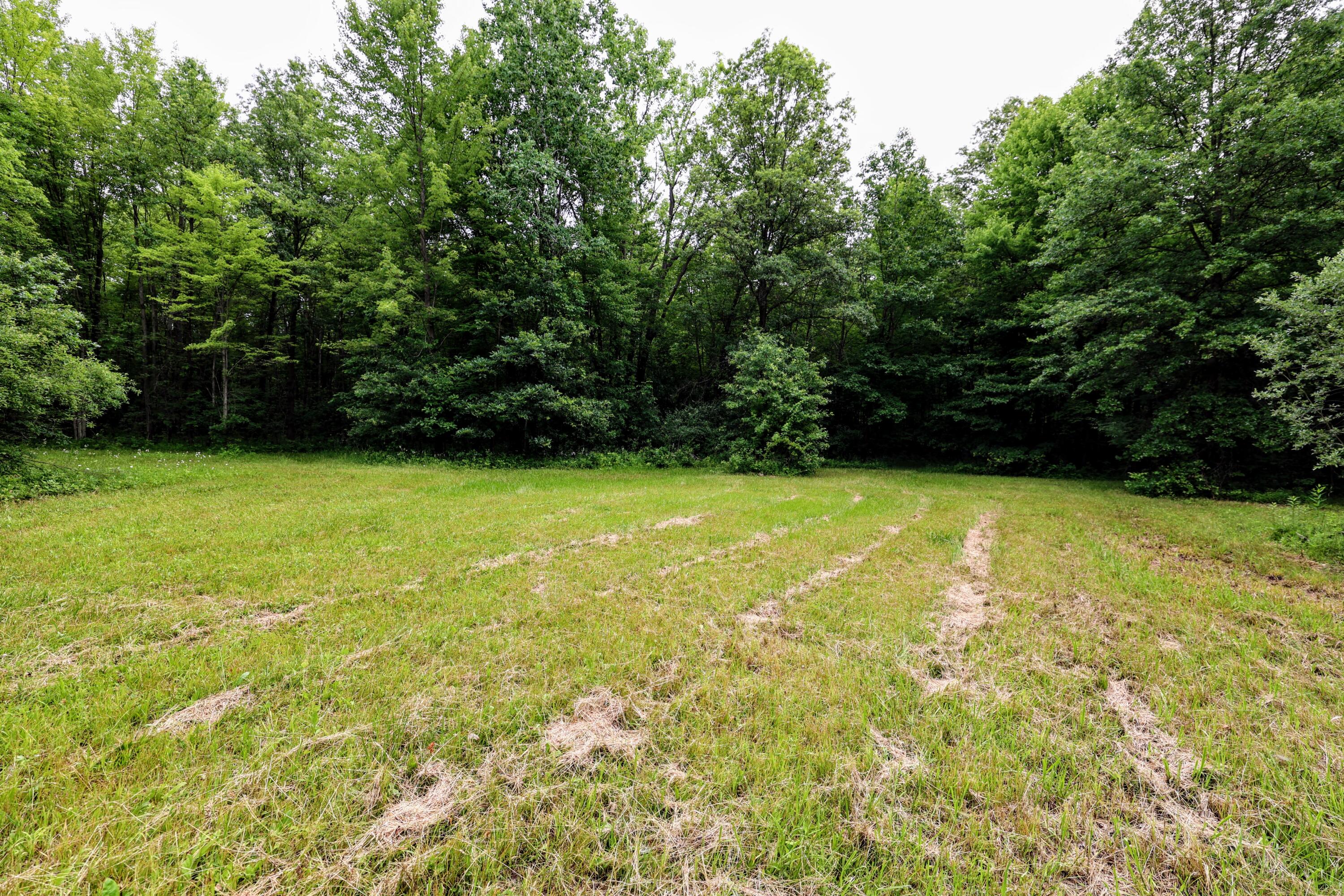 27015 50th Street Bangor, MI 49013 - Photo 25 of 41 25