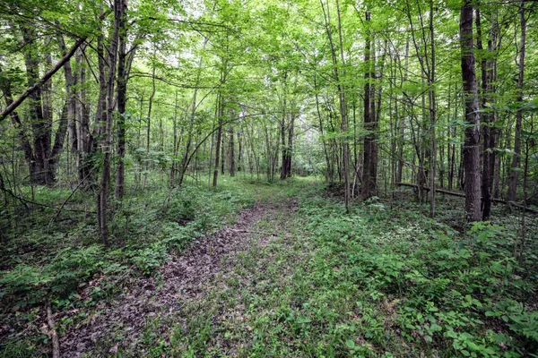 $299,000 | 27015 50th Street, Bangor, MI 49013