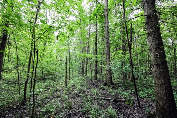 $299,000 | 27015 50th Street, Bangor, MI 49013